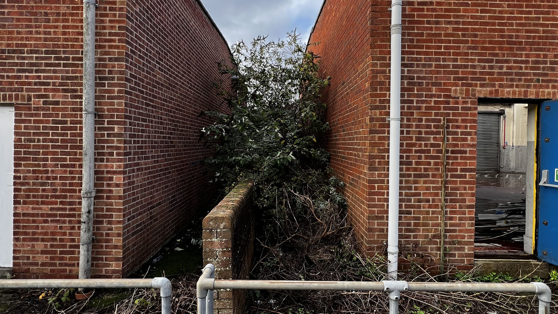 Who Should You Contact First — The Council, a Surveyor, or Your Neighbour Sheffield?